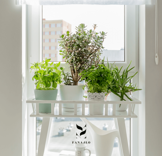 Eko – nowy trend w urządzaniu wnętrz