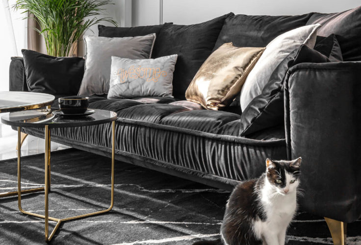 projektowanie wnętrz, sofa, glamour